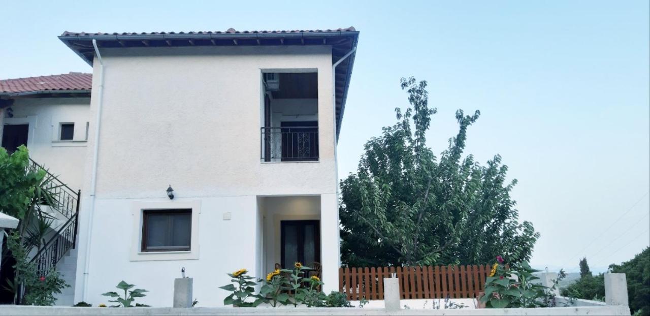 Green View Apartment Ágios Pétros 外观 照片